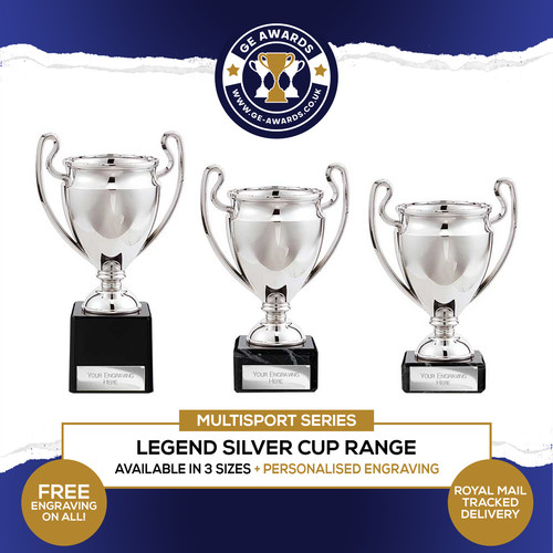 Multisport trophy silver - trophy,