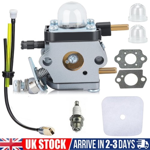 Carburetor for stroke - 2-stroke, mantis