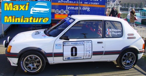 Decals 43rd peugeot 205 - decals,