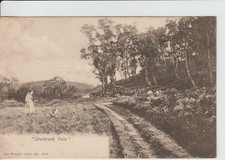 CANNOCK CHASE, STAFFORDSHIRE -