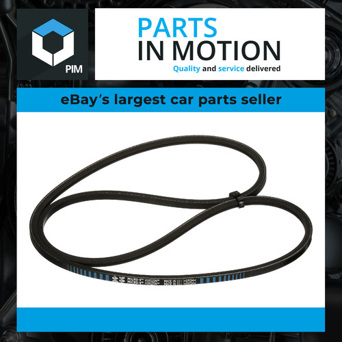 Multi drive belt fits - v, vw