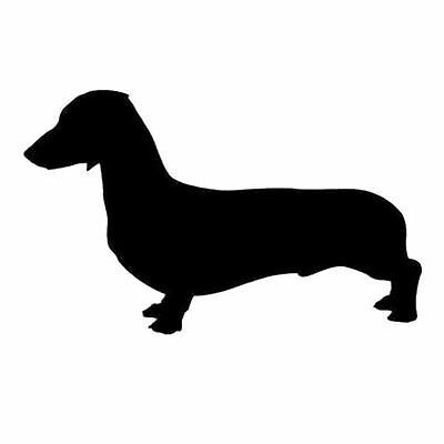 Sausage dog dachshund - dog,