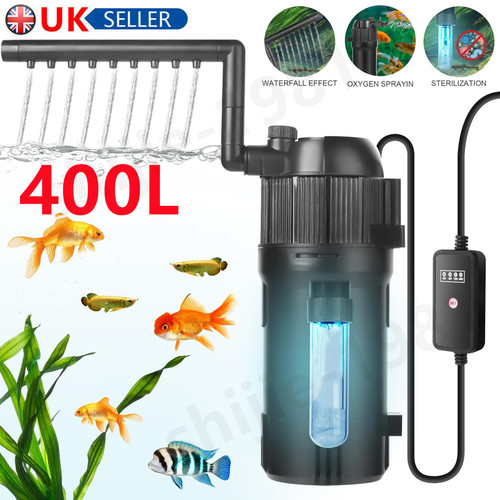 Aquarium fish tank - fish,