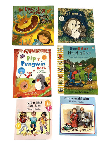 Welsh language books primary - 6,