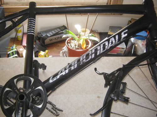 Cannodale leftty frame and - cannodale,
