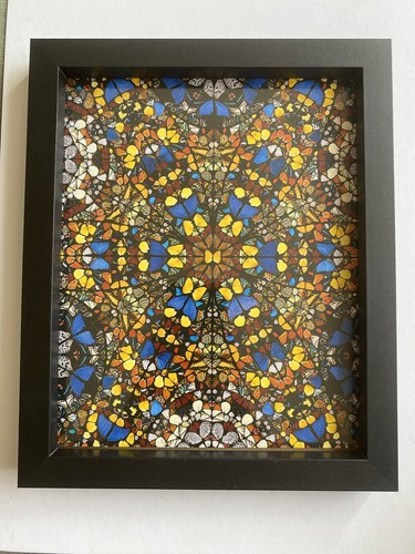 Damien hirst unsigned print - hirst,
