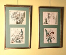 Vintage Botanical Prints Set