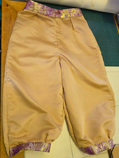 LOVELY REGENCY STYLE BREECHES