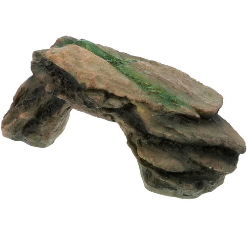 Turtle resin model - resin,