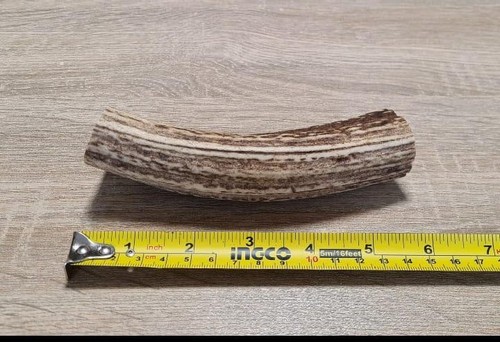 Antler dog chews - chews, extra