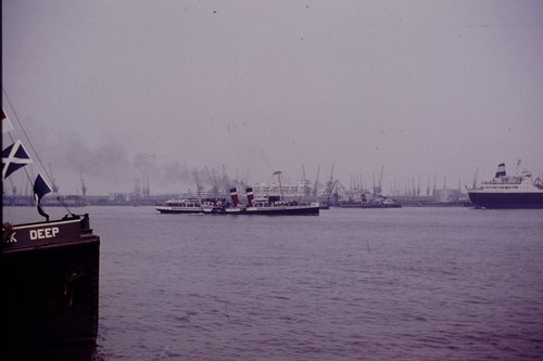 Paddle steamer shipping - steamer,