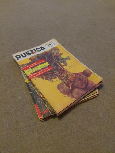 Vintage french rustica - 10, "rustica"