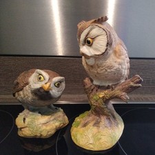 2x Vintage Owls by Aynsley. Little Owl AND Scops Owl. Singed. 1975.perfect
