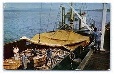 Boatload of Salmon Commercial