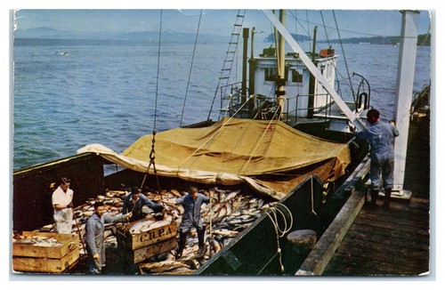 Boatload salmon commercial - boatload,