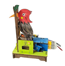 Teachers STEM Woodpecker