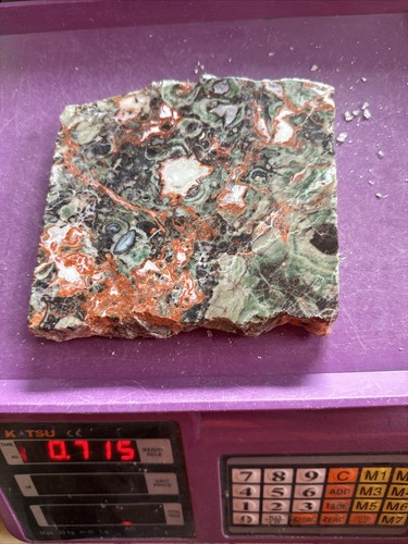 Stunning money agate slice - money,