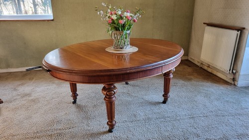 Vintage mahogany oval - vintage,