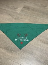 Green Reindeer In Training Dog Christmas Bandana