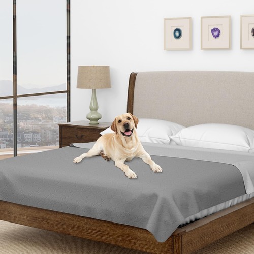 Waterproof dog blanket - waterproof,