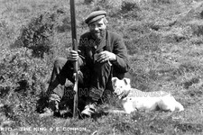 xhh-80 The King O' E' Common