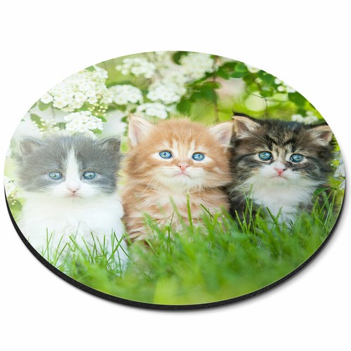 Round mouse mat - mat,
