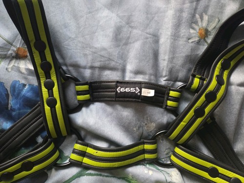 Mens neoprene chest harness - mens,