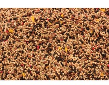 Skygold Mixed Canary seed 1kg
