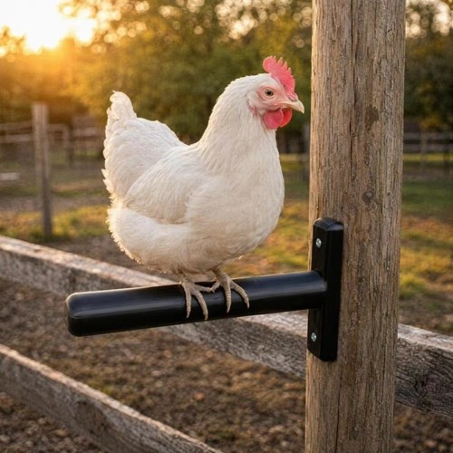 Printing chicken roosting - 3d,