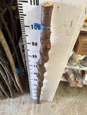 Birch TWISTY Twistie Seasoned