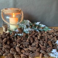 Wreath Making Christmas