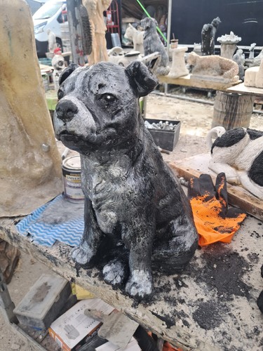 Staffie pitbull latex and - latex,