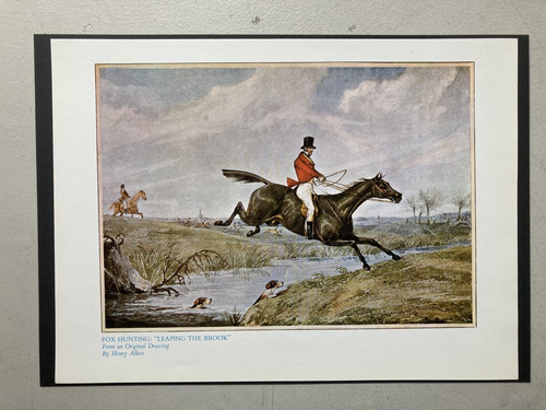 Vintage hunting print fox - ,