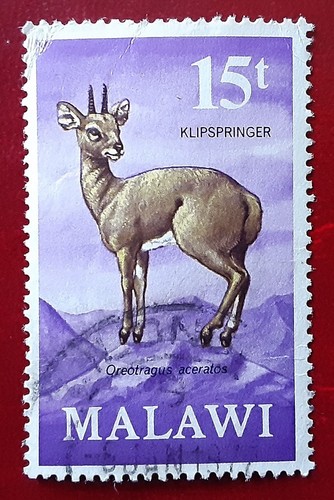 Malawi 1971 15t used - malawi,