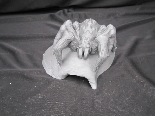 Tarantula spider skull cap - skull,