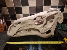 Iguanadon Replica Dinosaur