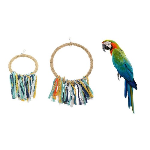 Pets birds parrot - pets,
