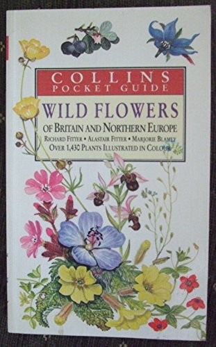 Wild flowers britain - wild,