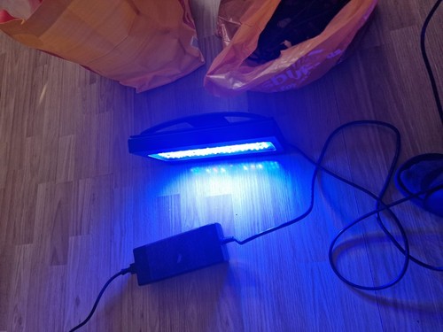 Ecotech radio xr30 gen blue - xr30,