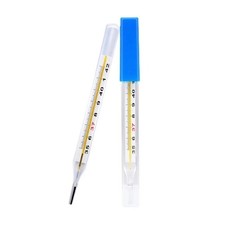 Traditional Glass Thermometer