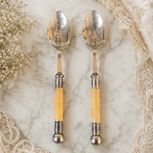 Antique silver plated - silver, berry