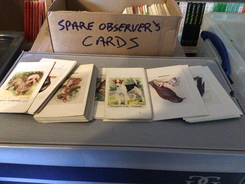 Observers book cards - observers,