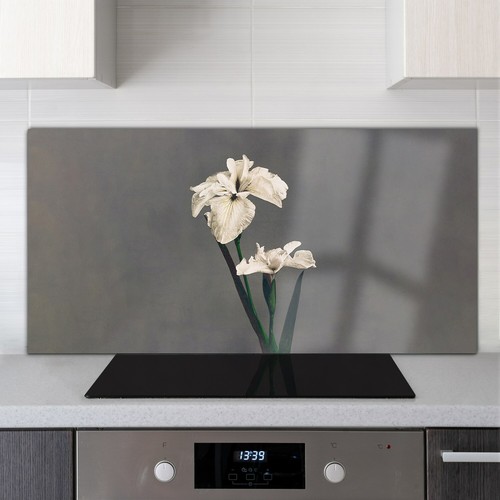 Glass cooker splashback - cooker, for