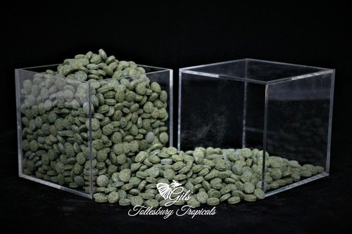 Spirulina tablets sinking - sinking, 200g
