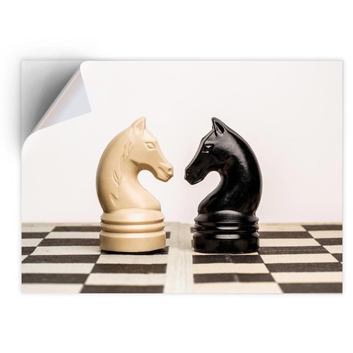 Vinyl sticker chess figures - vinyl,