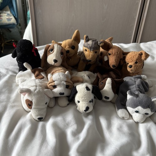Bundle beanie babies - 11,