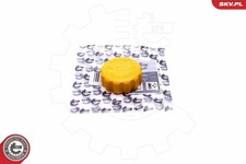 CAP, COOLANT TANK ESEN SKV