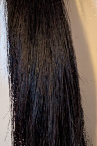 Black real horse - black,