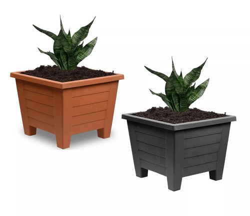 Plastic plant pots - plastic,