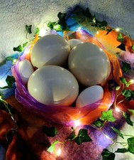 Autumn Home Decor or Craft